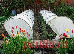 Одноклассники