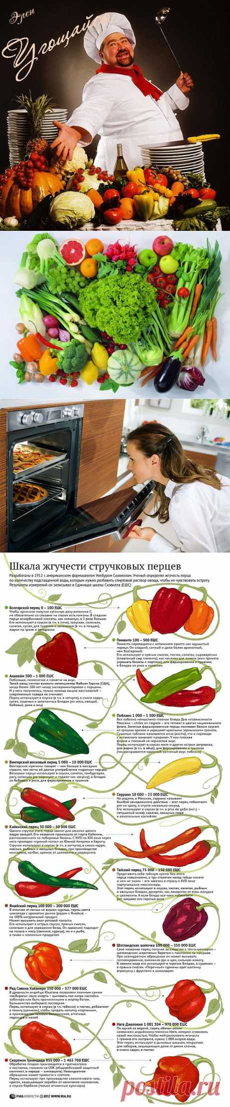 СОВЕТЫ ХОЗЯЙКЕ ПО КУЛИНАРИИ... - Все о продуктах питания. Хранение продуктов.