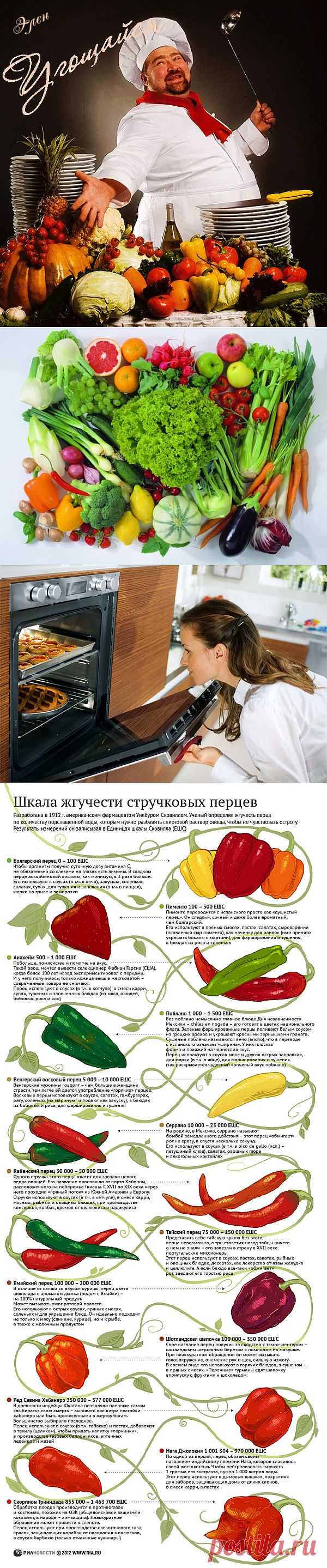 СОВЕТЫ ХОЗЯЙКЕ ПО КУЛИНАРИИ... - Все о продуктах питания. Хранение продуктов.