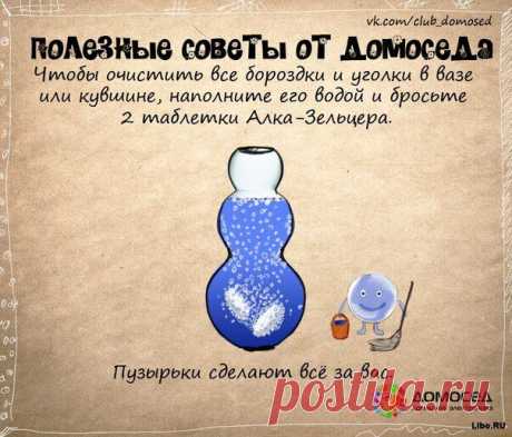 Как почистить вазу