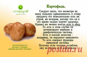 Картофель