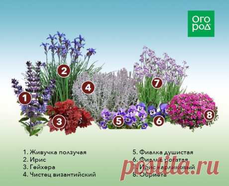 Схема клумбы