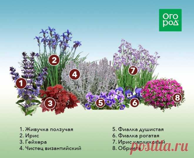 Схема клумбы