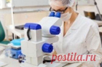 Как самим разобраться в результатах общего анализа крови?