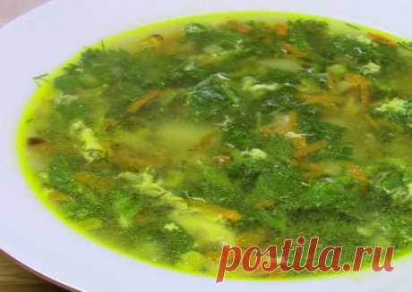 🍀 Крапивный суп: 7 нестандартных и вкусных рецептов (с яйцом и не только)