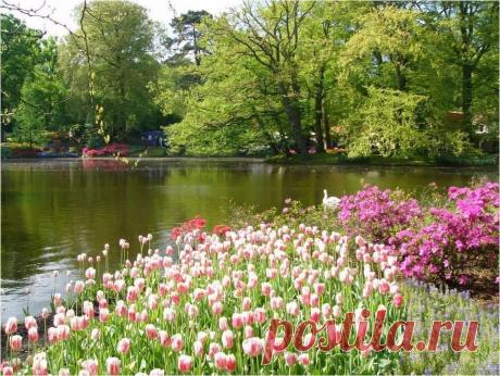 En Güzel Doğa ve Manzara Resimleri - Sayfa 70 - AiLeVaDiSi FoRuM