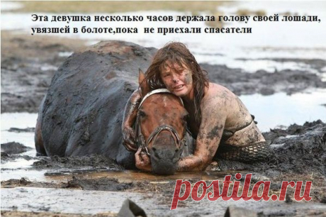Доброта спасет мир
