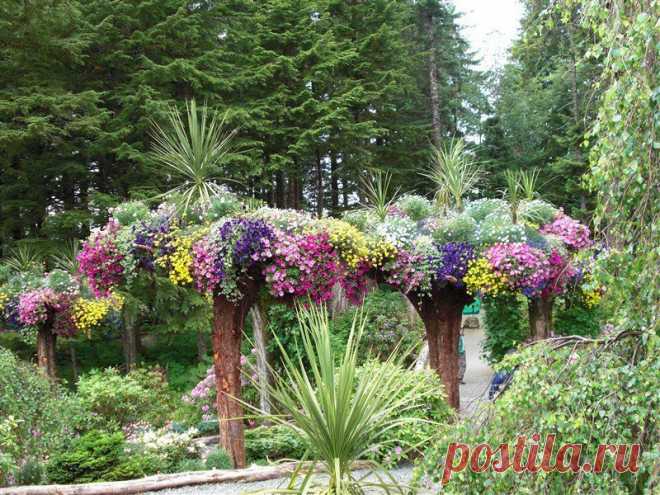Ботанический сад Glacier Gardens, Juneau, Alaska