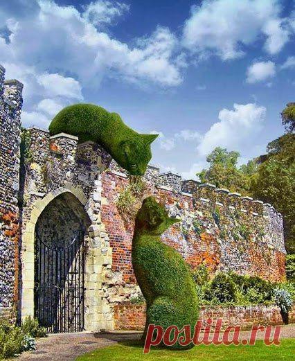 ИДЕИ | ВКонтакте