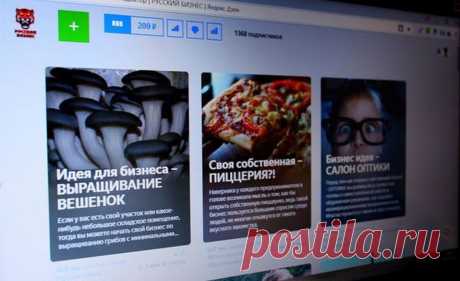 Как заработать на Яндекс Дзен | Выживи сам