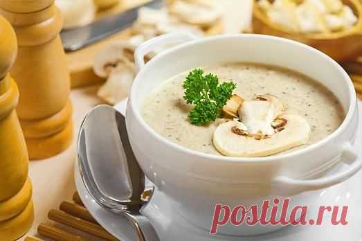 Готовим вкуснейший грибной супчик: 3 рецепта — Вкусные рецепты
