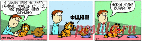 1980-08-04