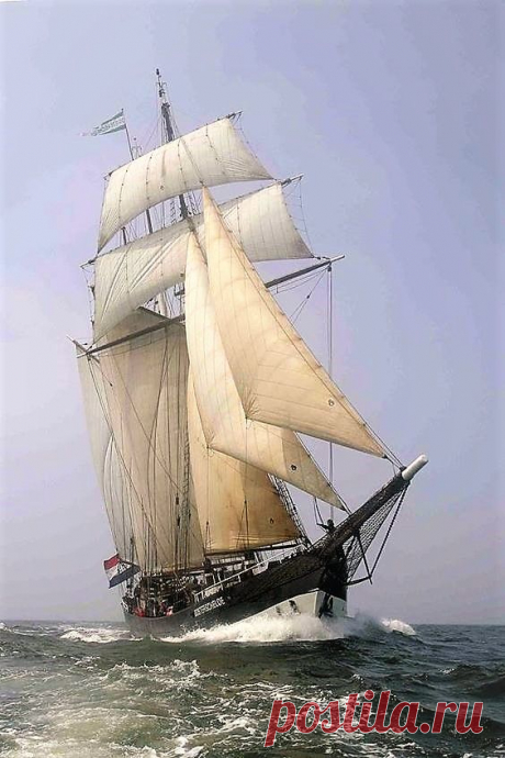 (248) Pinterest
