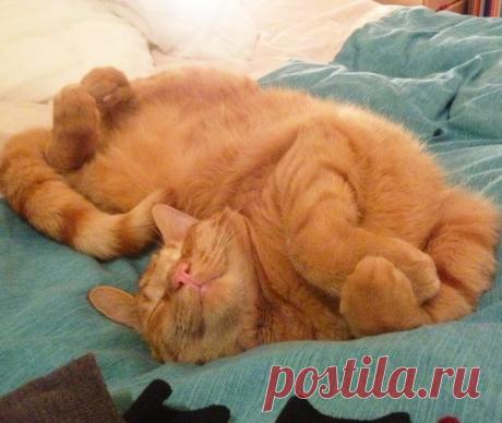 Если тебе понадобится рука помощи, знай — она у тебя есть — твоя собственная. Когда ты станешь старше, ты поймешь, что у тебя две руки: одна, чтобы помогать себе, другая, чтобы помогать другим.
Одри Хепберн