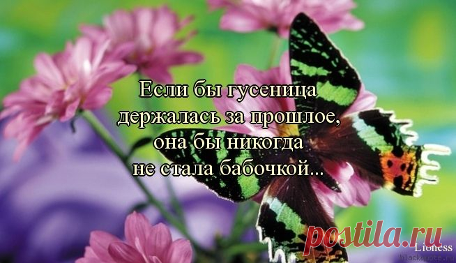 Управление агрессией: самая частая ошибка |