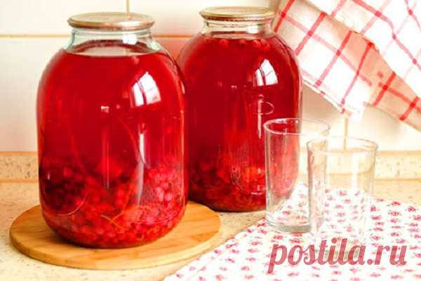 Компот из красной смородины с апельсинами — любимый компот моей семьи!