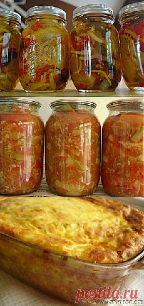 Поиск на Постиле: рецепты с кабачками