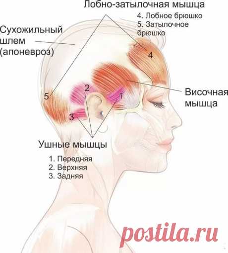 ЭФФЕКТИВНАЯ ПОДТЯЖКА ЛИЦА без помощи хирурга!