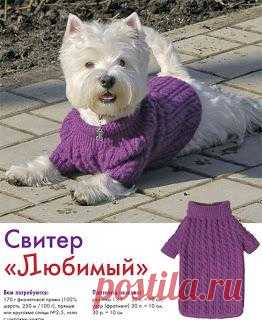 Свитерок для любимой собачки.