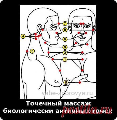 Точечный массаж биологически активных точек.
