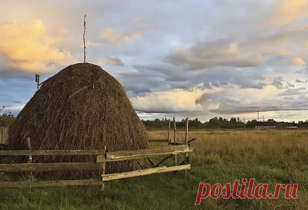Разумная экономия. Жить в деревне дешевле. | Включай ЭКОНОМайзер | Яндекс Дзен