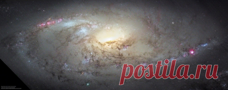 M106 Close Up