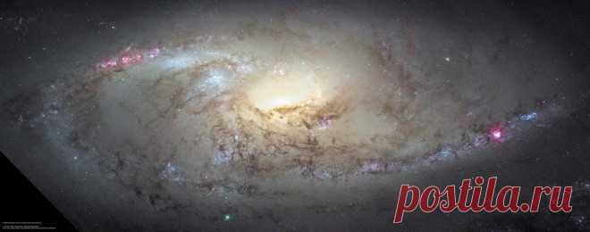 M106 Close Up
