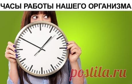 (66) Одноклассники