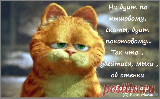 Блог Кота Моти. Промеждуделам : как вы думаете, с какой целью ЦК  компартии 