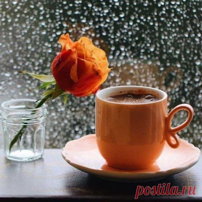 ...Именно мелочи напоминают нам,
что ж и з н ь - это удовольствие....