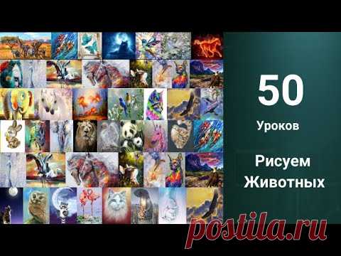 Как рисовать Кота, Собаку, Лошадь. Купить 50 уроков за 500р. ссылка в описании.
