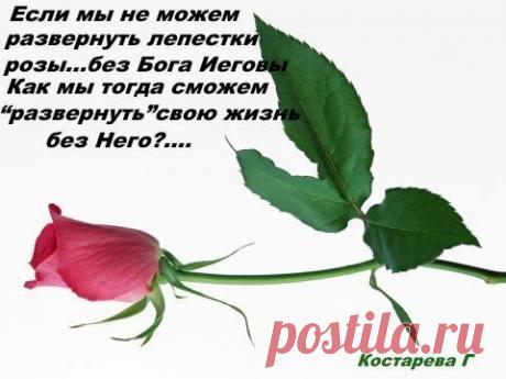 Мой Мир@Mail.Ru