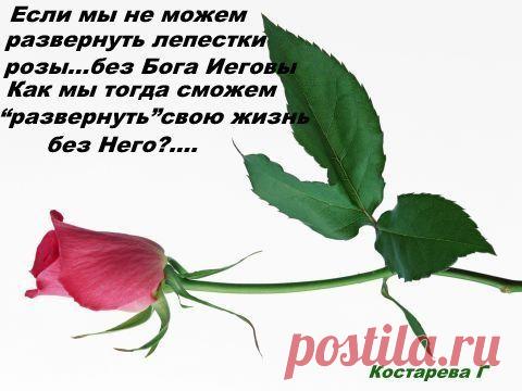 Мой Мир@Mail.Ru