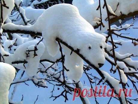 Природа ваяет.