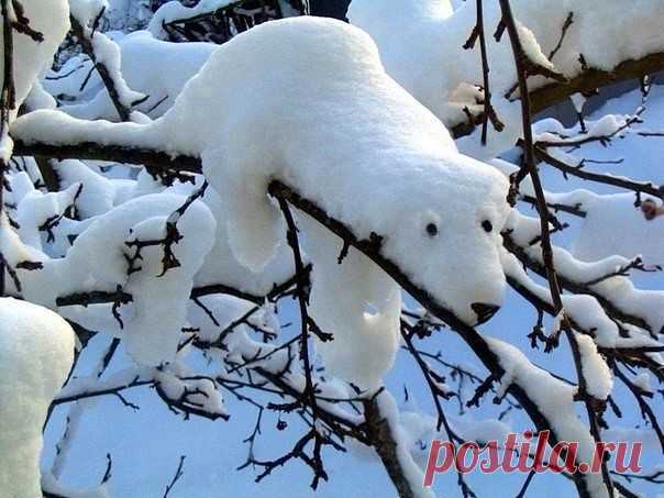 Природа ваяет.