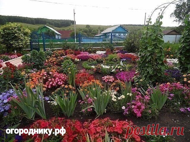 С ТАКИМИ ПОДКОРМКАМИ ВАШИ ЦВЕТЫ БУДУТ РАСТИ, КАК НА
ДРОЖЖАХ  
Сохрани шпаргалку, поделись с одноклассниками!