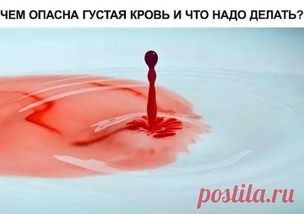 ЧЕМ ОПАСНА ГУСТАЯ КРОВЬ И ЧТО НАДО ДЕЛАТЬ... - Познавательный сайт ,,1000 мелочей