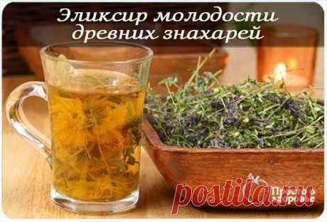 ЭЛИКСИР МОЛОДОСТИ ДРЕВНИХ ЗНАХАРЕЙ | Женский журнал