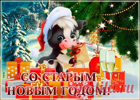 Картинки Старый Новый Год | ТОП Картинки