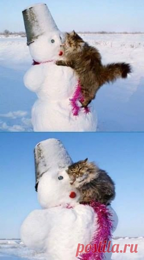 (9) Facebook