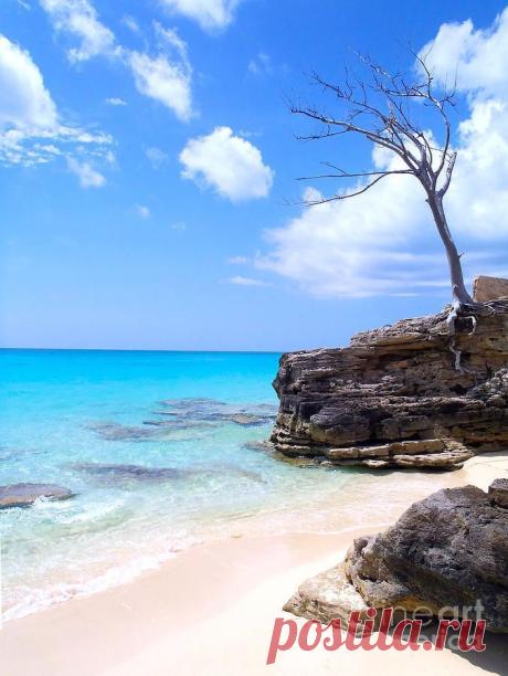 Bimini Beach - The Bahamas - Blame the Real Housewives of Miami | Pinterest: инструмент для поиска и хранения интересных идей