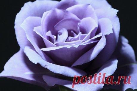 Сколько простоит ваш | Самоцветик