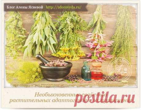 Растительные адаптогены : свойства и применение