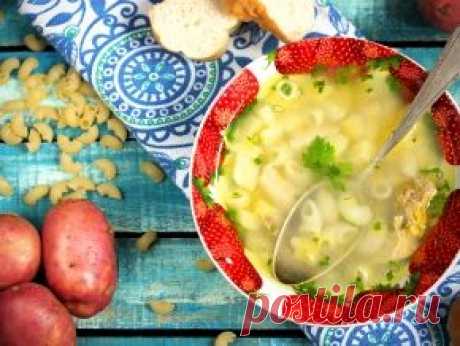 Супы на курином бульоне, 28 рецептов с фото. Как приготовить суп с курицей?