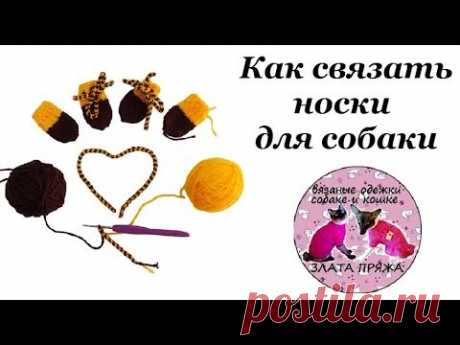 33. Как связать носки для собаки