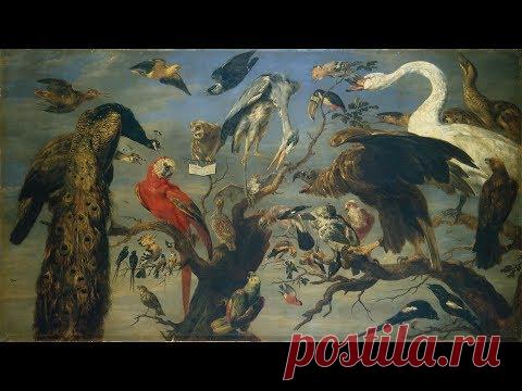 «Смотритель»: Зоопарк в Эрмитаже