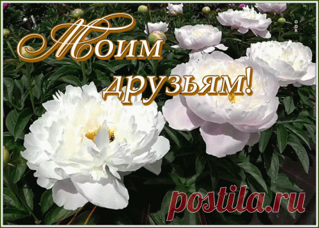 Картинка моим дорогим друзьям