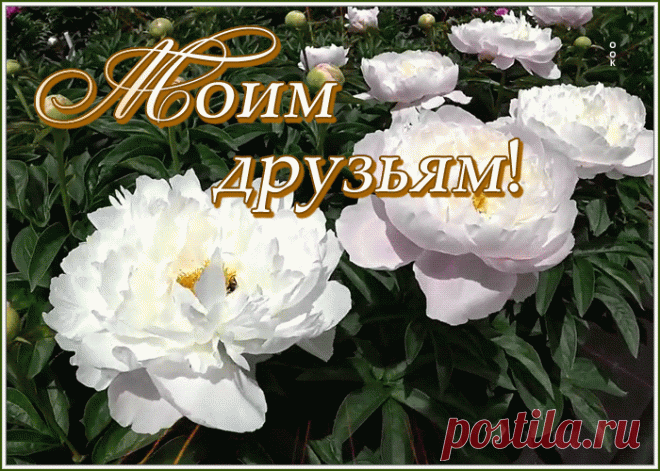 Картинка моим дорогим друзьям