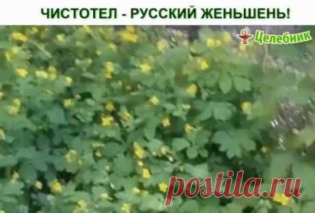 Одноклассники