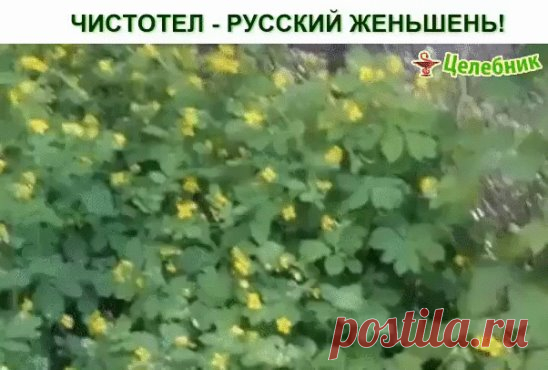 Одноклассники